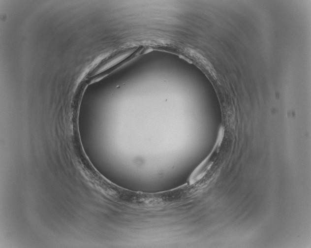 X0000075410395200609291711