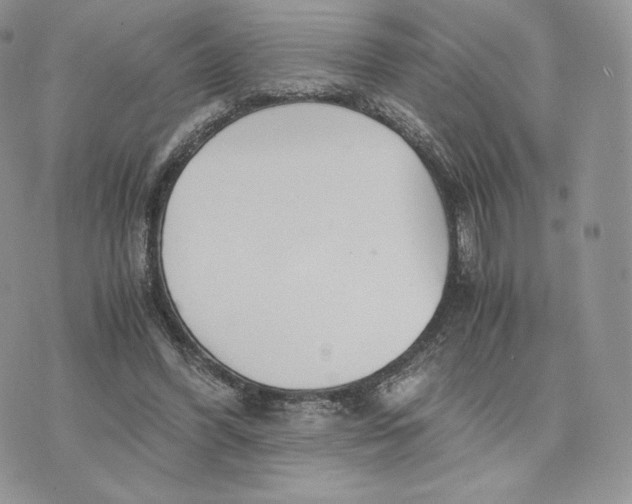 X0000075410396200609291711