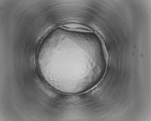 X0000075410398200609291711