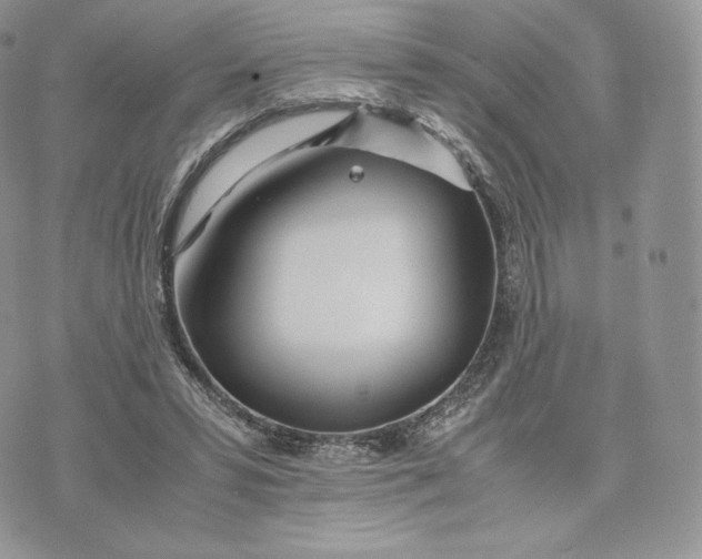 X0000075410399200609291711