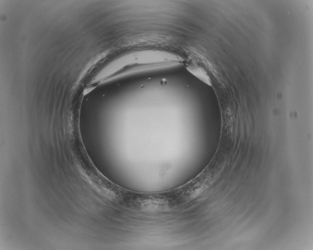 X0000075410400200609291711