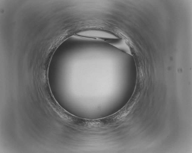 X0000075410401200609291711