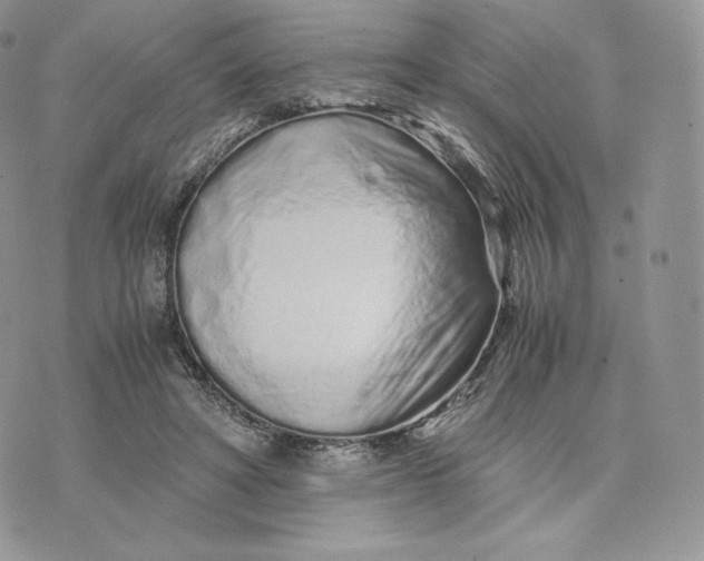 X0000075410402200609291711