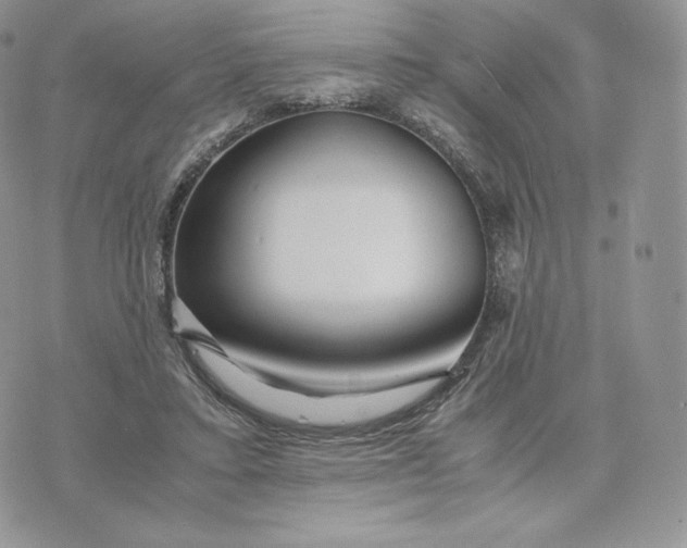 X0000075410403200609291711