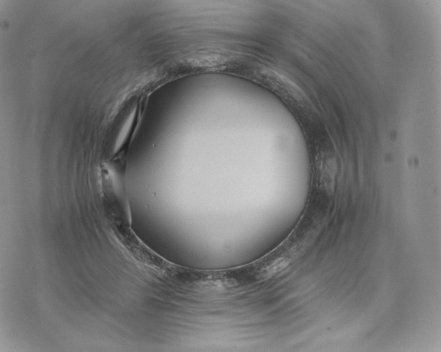 X0000075410404200609291711