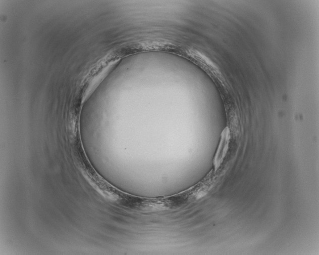 X0000075410405200609291711