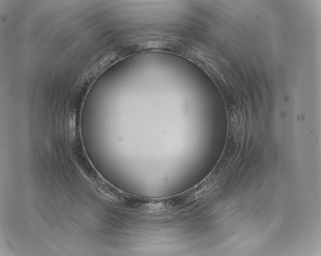 X0000075410406200609291711