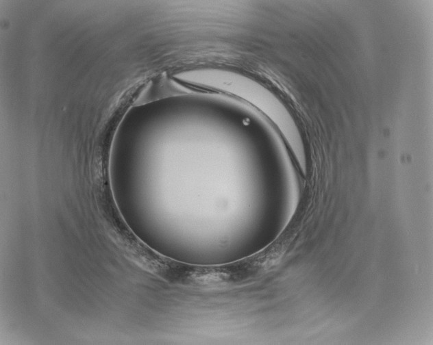 X0000075410407200609291711