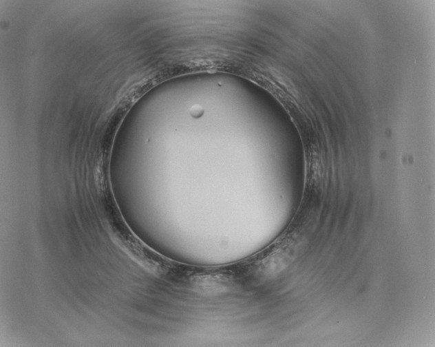 X0000075410408200609291711