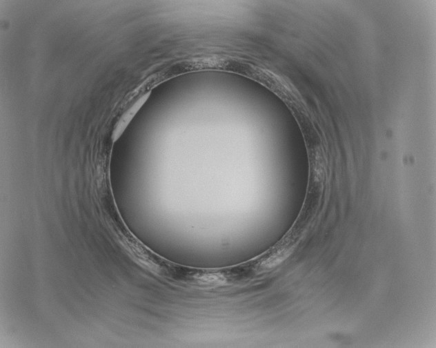 X0000075410409200609291711