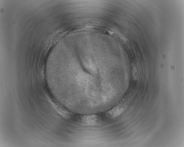 X0000075410410200609291711