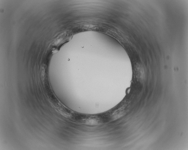 X0000075410412200609291711