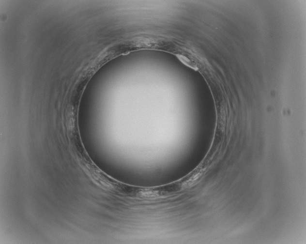 X0000075410413200609291711