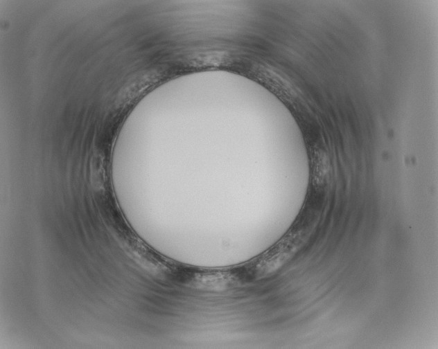 X0000075410414200609291711