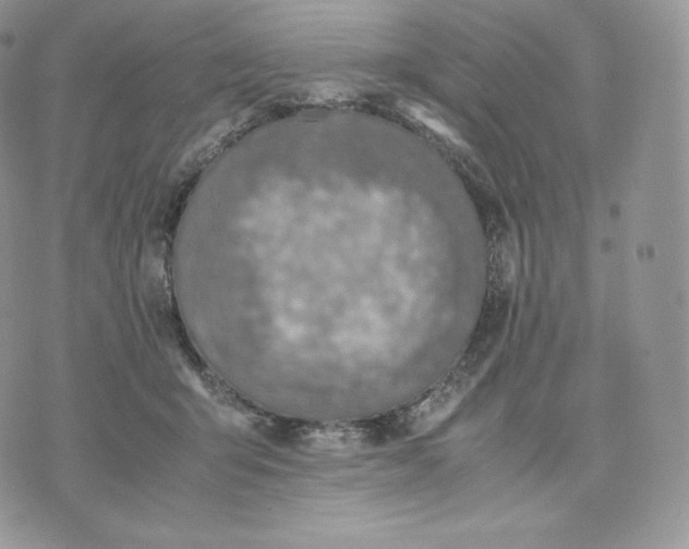 X0000075410415200609291711