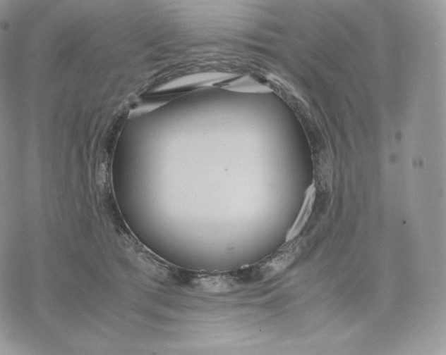 X0000075410417200609291711