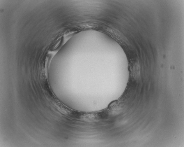 X0000075410418200609291711