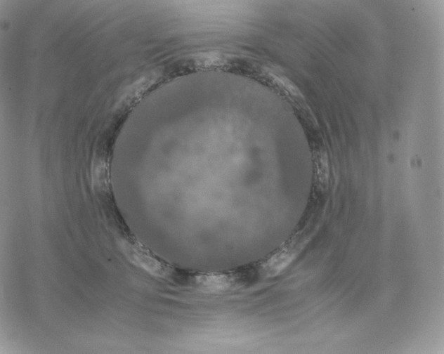 X0000075410419200609291711