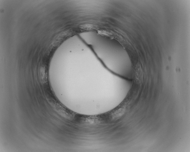 X0000075410420200609291711