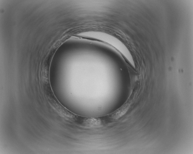 X0000075410421200609291711