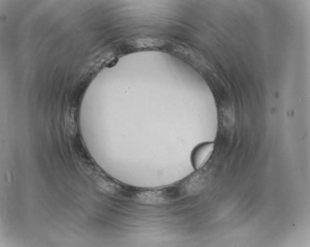 X0000075410422200609291711