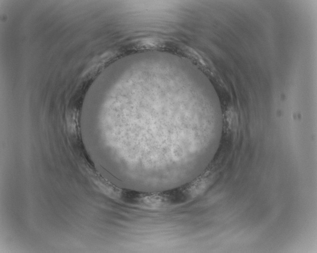 X0000075410423200609291711