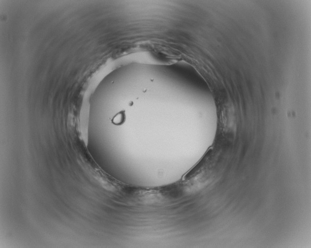 X0000075410424200609291711