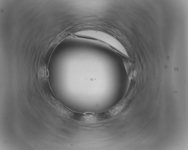 X0000075410425200609291711