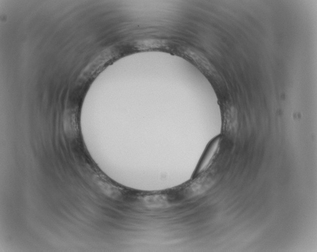 X0000075410426200609291711