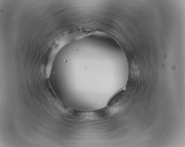 X0000075410428200609291711