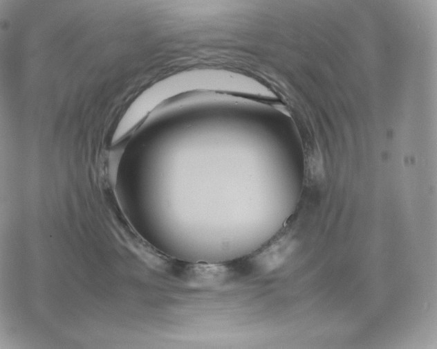 X0000075410429200609291711