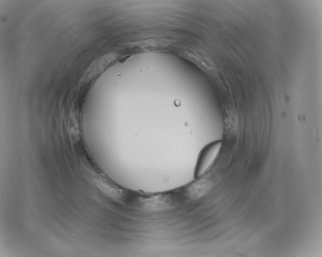 X0000075410430200609291711