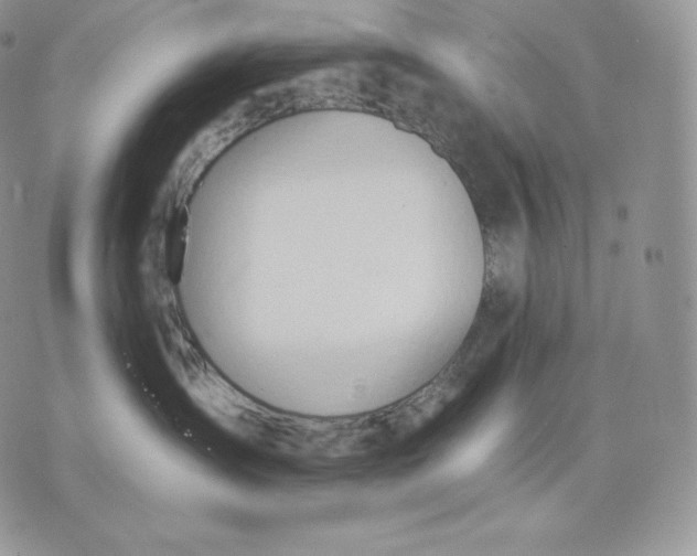 X0000075410431200609291711