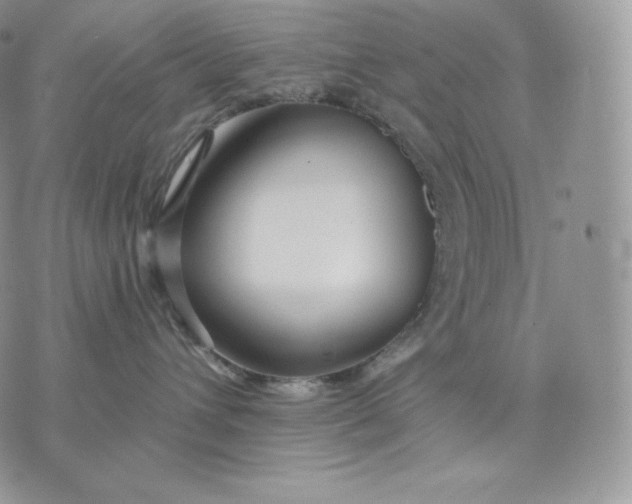 X0000075410432200609291711