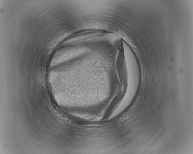 X0000075410434200609291710