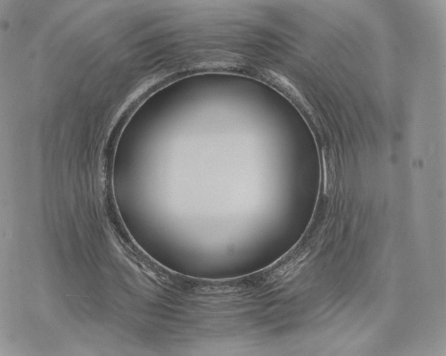 X0000075410435200609291710