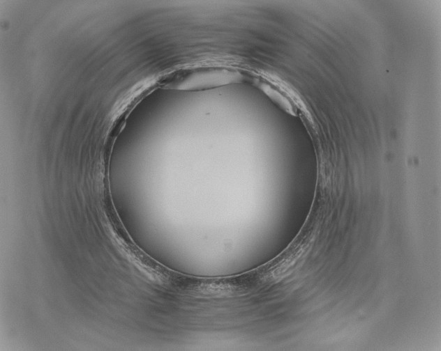 X0000075410437200609291710