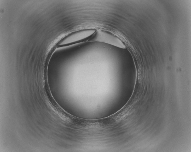 X0000075410438200609291710