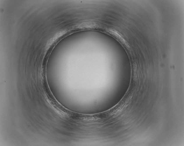 X0000075410439200609291710