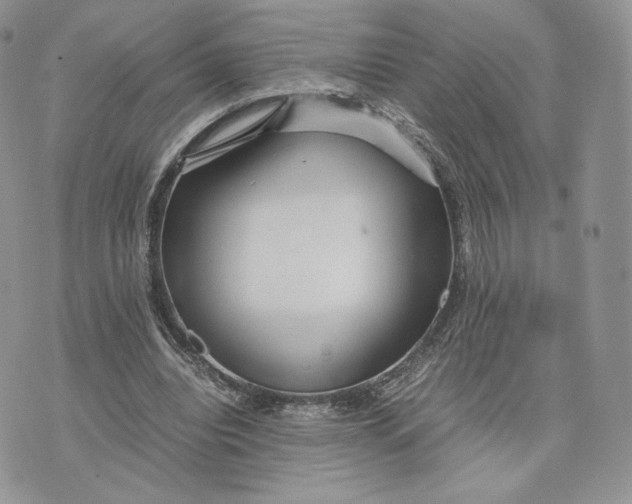 X0000075410440200609291710