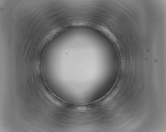 X0000075410441200609291710