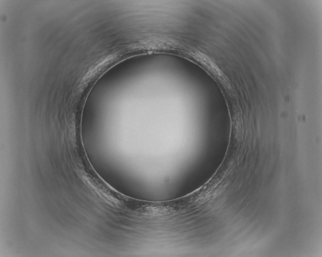 X0000075410442200609291710