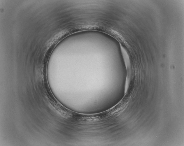 X0000075410443200609291710