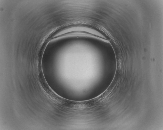 X0000075410444200609291710