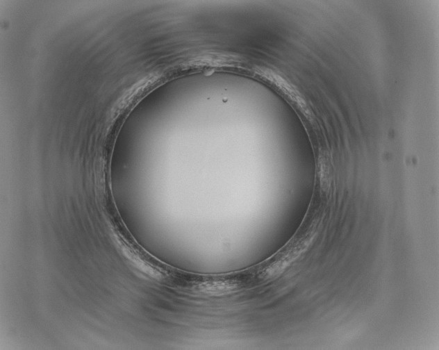 X0000075410445200609291710