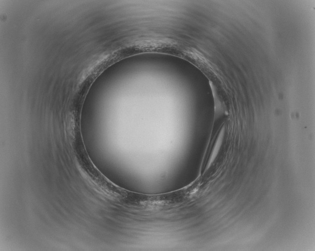 X0000075410448200609291710