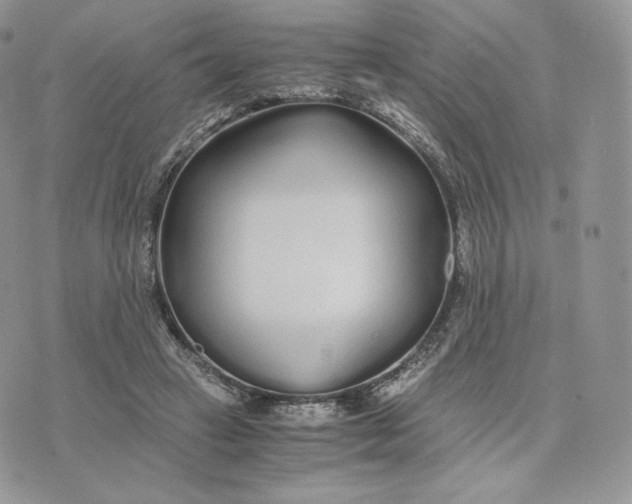 X0000075410449200609291710