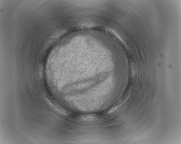 X0000075410451200609291710