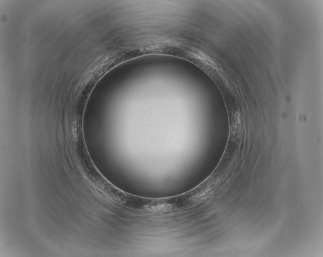 X0000075410452200609291710