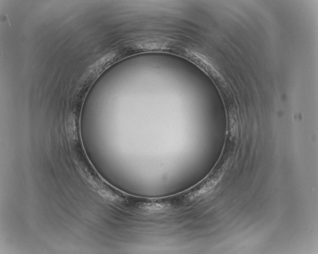 X0000075410453200609291710